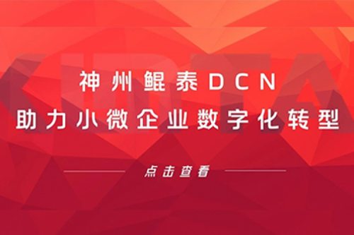 k8·凯发(中国)·一触即发DCN助力小微企业数字化转型